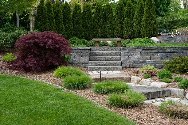 Block retaining wall with built-in steps rising through a lawn, with a red Japanese maple and grasses beside it