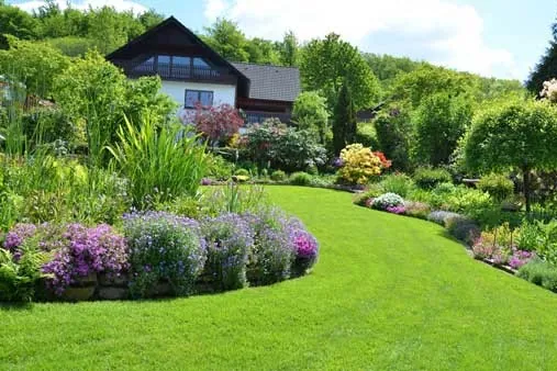 A hillside garden with flowering beds and a curving lawn below a house
