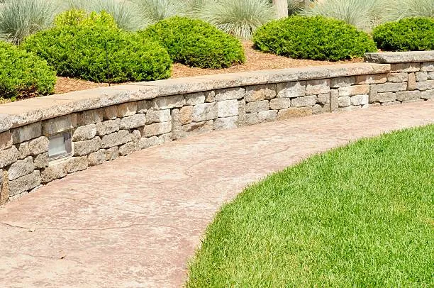 A low stacked-stone wall with clipped shrubs above it, curving beside a paver path and a lawn